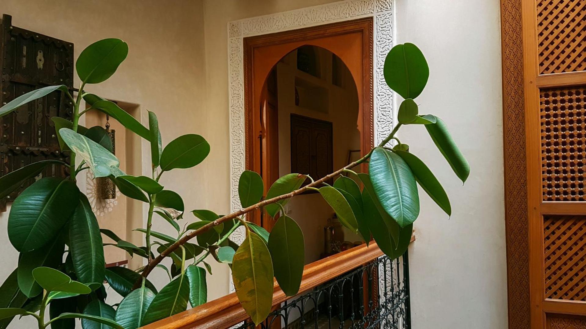 Riad Gallery 49 & Spa Marrakesh Exterior photo